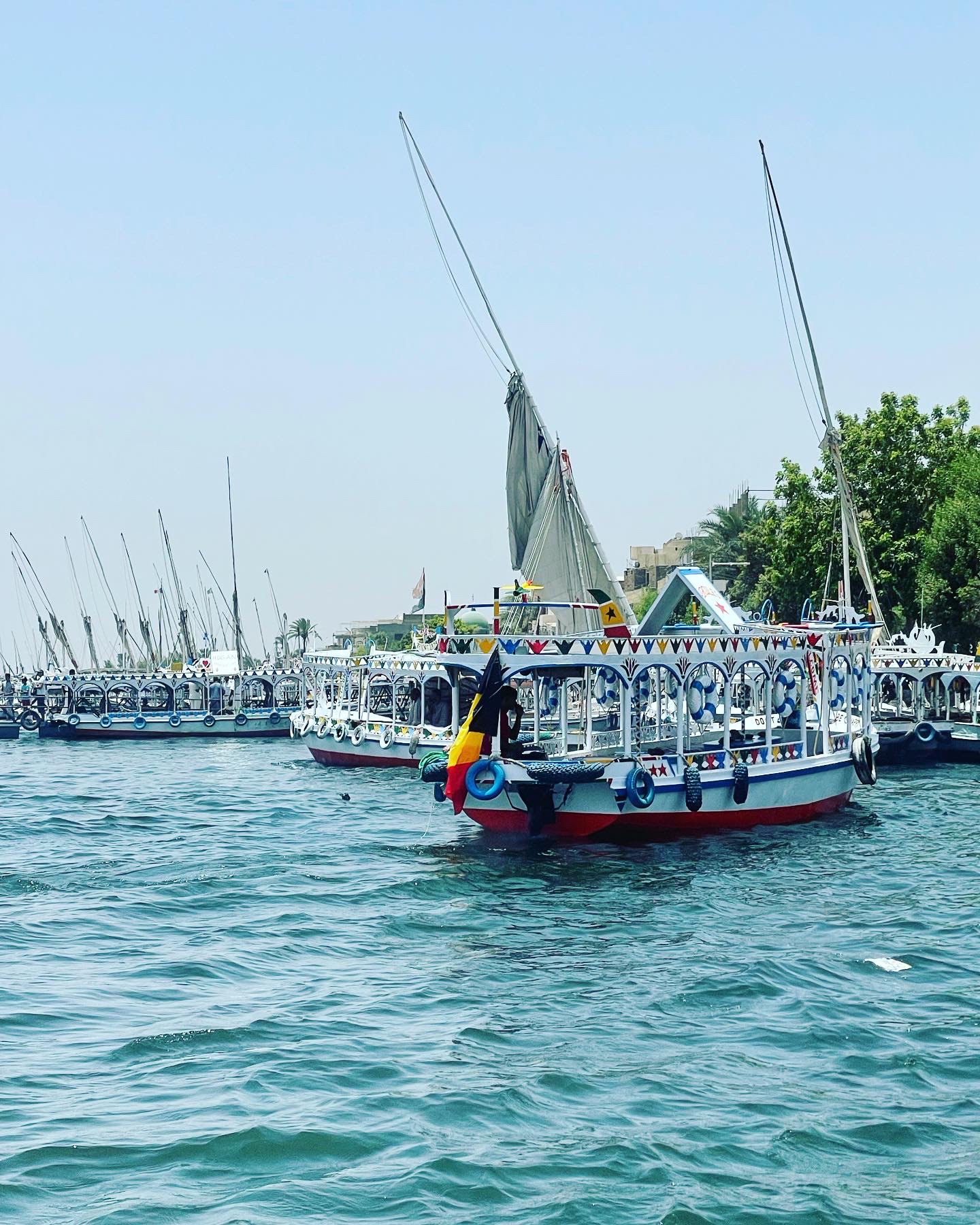 6CA99037-AA31-4FD0-9299-919CB7B7E570