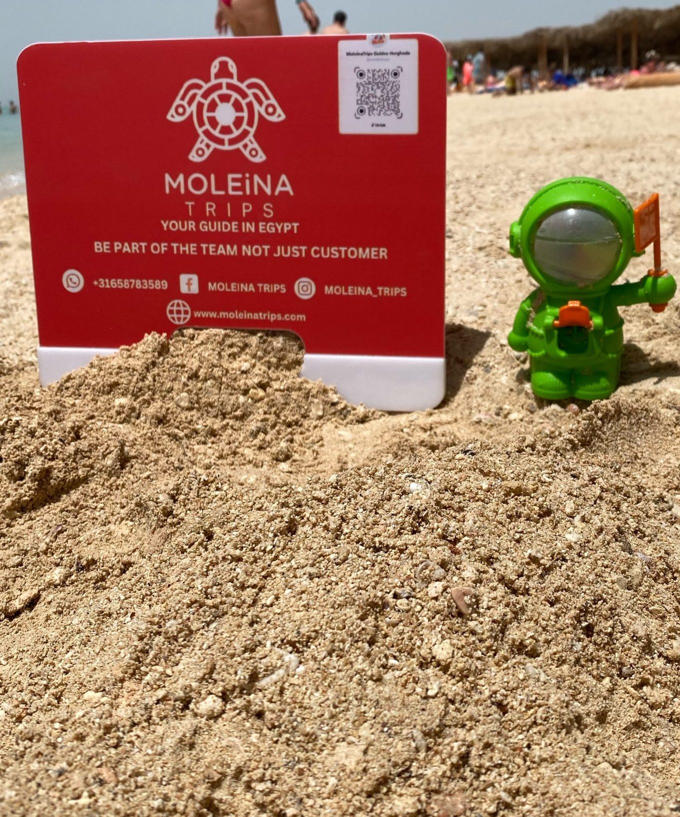 Welcome to Moleina Trips – Explore Hurghada with Heart!