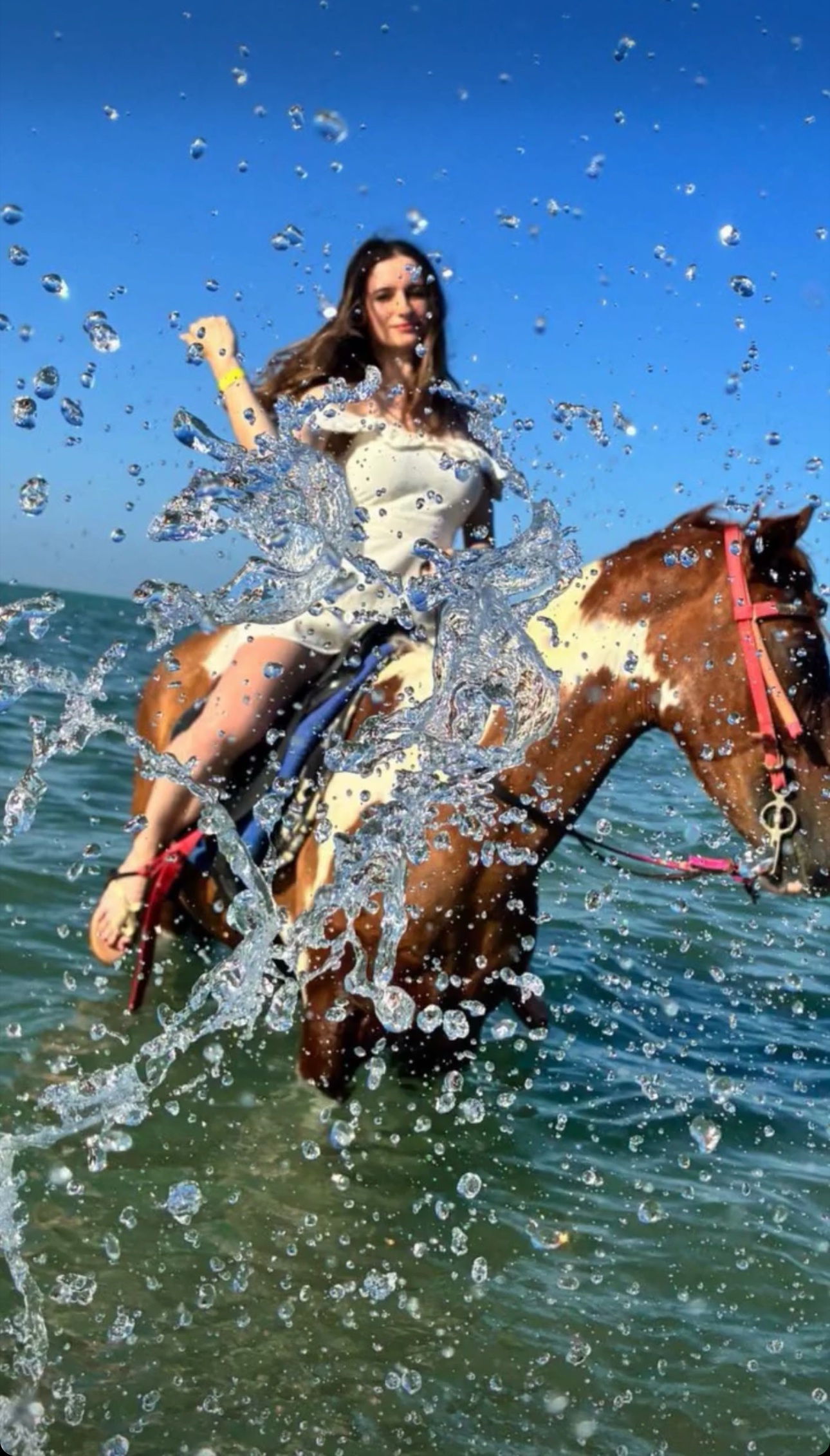 Horse Riding And Swimming