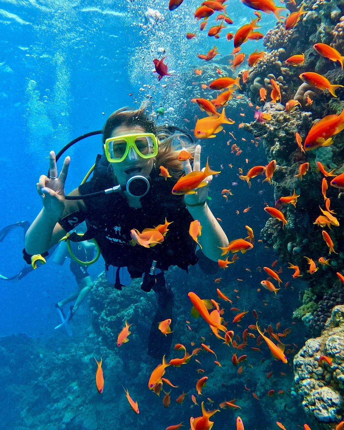 DIVING BOAT TRIP