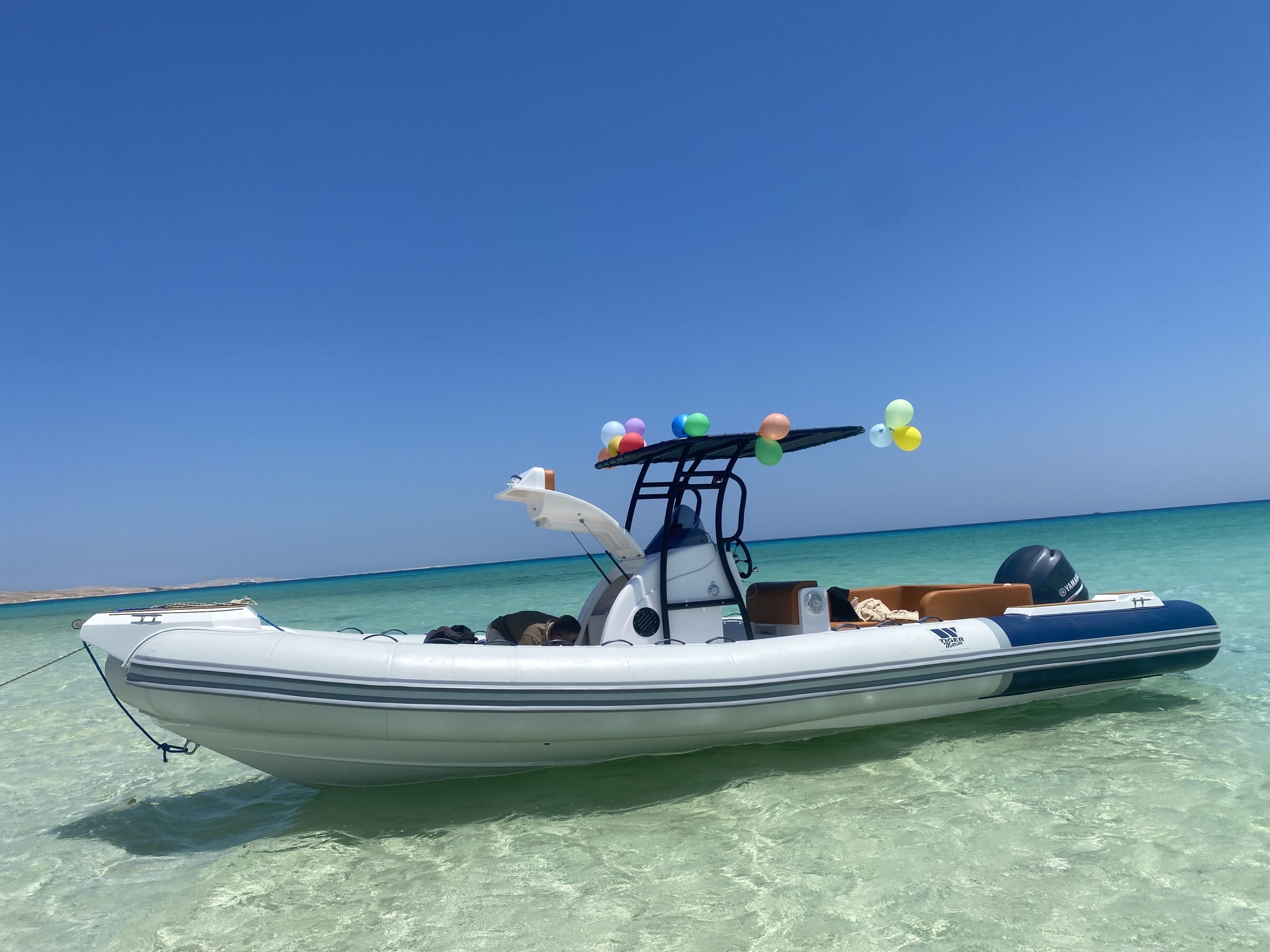 SPEED BOAT PRIVATE