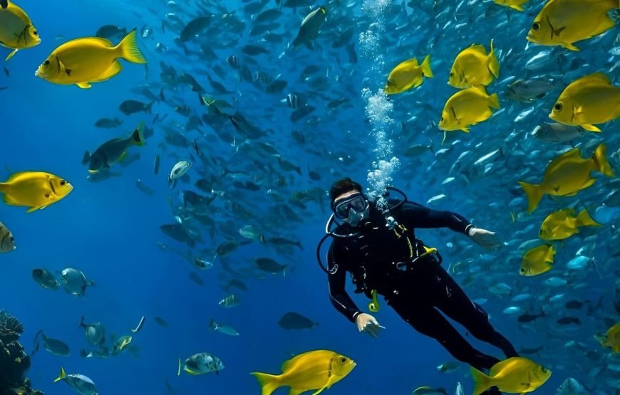 Scuba Diving Full Day Boat Trip for Beginners