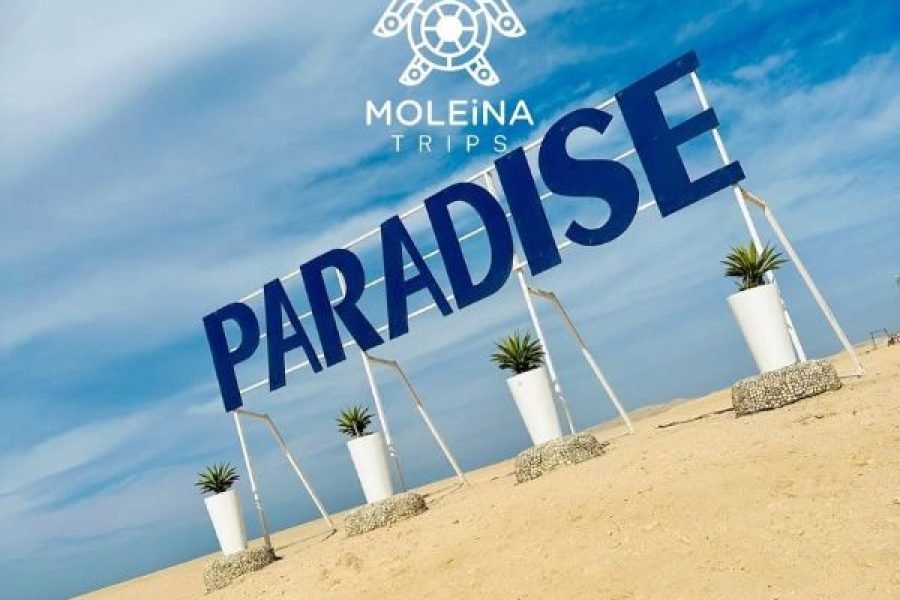 Paradise Island Snorkeling & Beach Day Trip from Hurghada