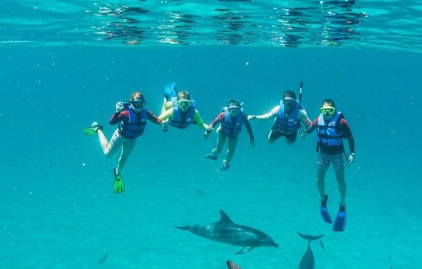🐬 VIP Dolphin House Snorkeling Trip from Hurghada – Small Group Luxury Experience